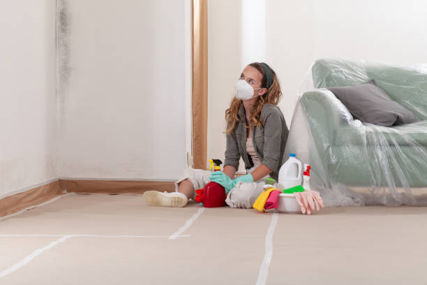 Reliable Mold Cleanup contractor in Graham, WA by Cheap Mold Removal